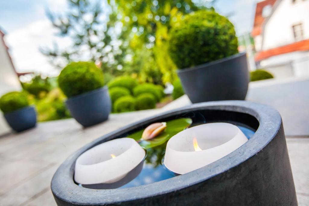 Boutique-Hotel Villa Anna Eisenach Zewnętrze zdjęcie